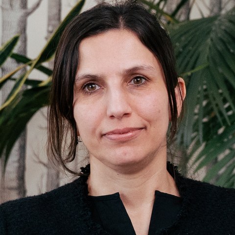 Dr. Deniz Aydemir-Döke